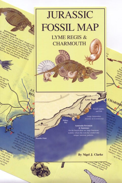 jurassic fossil map