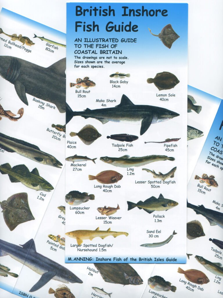 Inshore fish