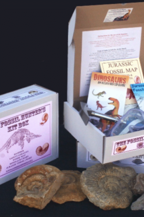 Fossil hunters kit box