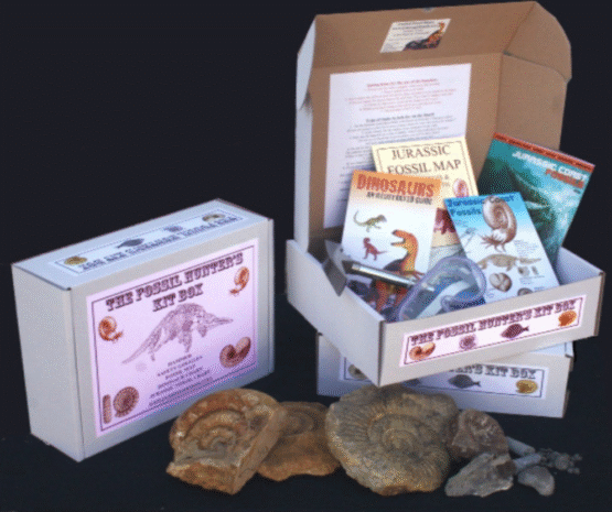 Fossil hunters kit box