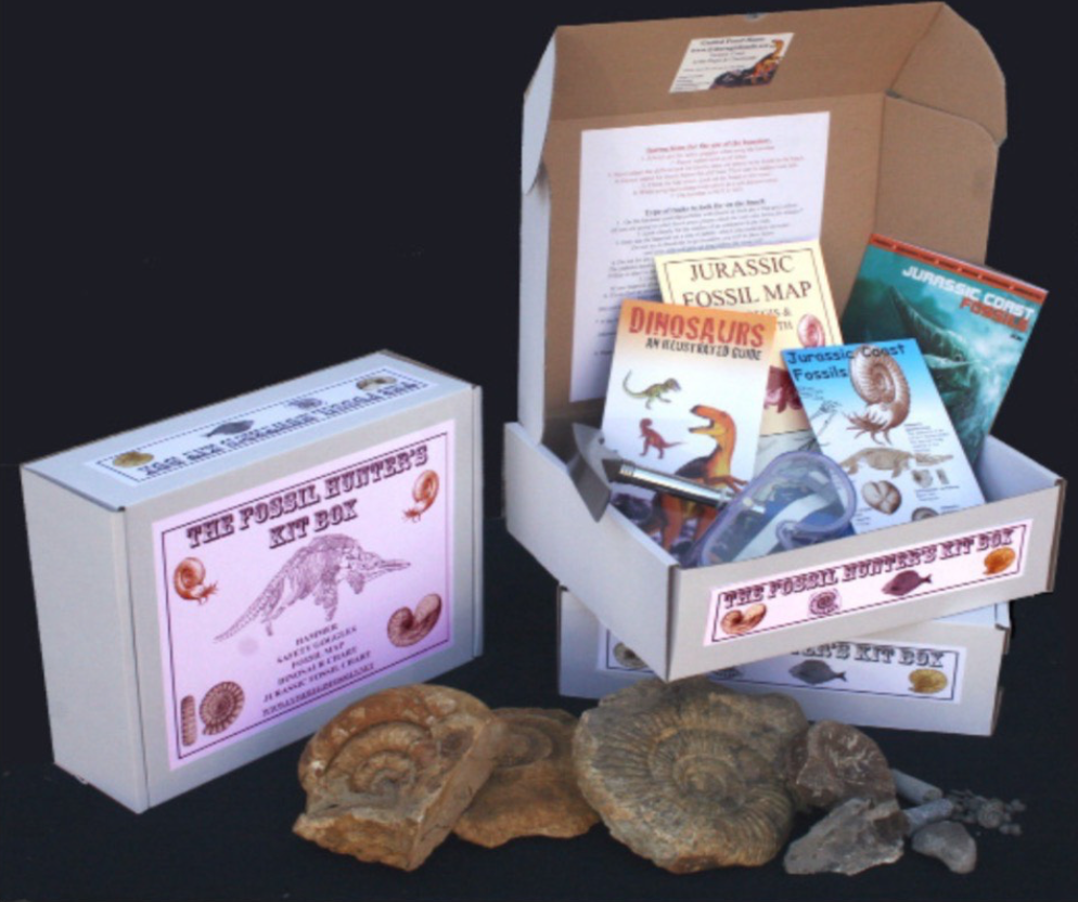 Fossil hunters kit box